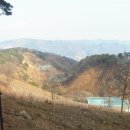 보천목장 Daum카페