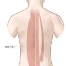 제이퍼스널트레이닝 - 진주시 사들로 30 | 제이퍼스널트레이닝