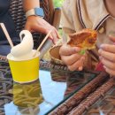 곡산목장 | 일산 정원뷰 카페 옐로우마운틴 / 스콘이랑 배주스 맛있어요!