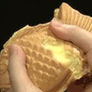 거울보는 강아지 이미지