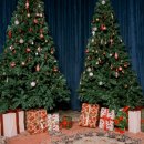 신생교회 앞 | 대구 스튜디오남산 크리스마스 셀프촬영 후기🎄