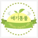 애기똥풀 | 대구 대가족 모임 식당, 애기똥풀 구순잔치 후기 (애기똥풀)