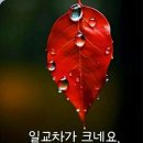 오늘은 상강(霜降) 이미지