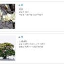 서울신천초등학교 이미지