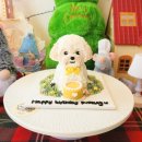 다정하고 맛있개 이미지