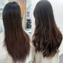아산헤어샵 어디가 좋을까 직접 경험해본 클리닉 후기