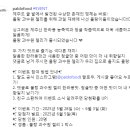팔도 몰랑 과수원 젤리 출시 이벤트 ~6.3 이미지