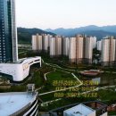 관설중앙공인중개사사무소 이미지