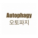 (주)레몬디톡스코리아 이미지