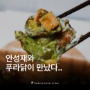 푸라닭치킨 | 안성재 푸라닭 콜라보 마요피뇨 치킨 후기