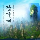 장가계 - 수원시 팔달구 매산로 2-3 | 장가계