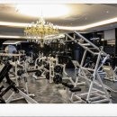 도미디 피트니스 이미지