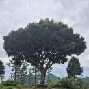 남해-213 이미지