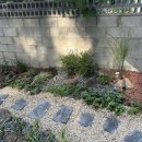 여울숲펜션 이미지