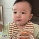 ABC전자 | 중기 이유식 비트 큐브 만들기 ABC퓨레까지 만든 후기