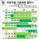 가을텃밭작물 재배 캘린더 이미지