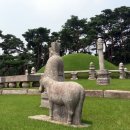 대왕 행정사사무소 이미지