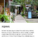김도한여행사