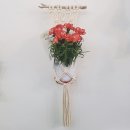 라플레르 이미지