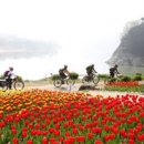 도담삼봉 자전거길 이미지