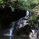 장수군(환경위생과) 이미지