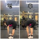 투펄슨짐 피트니스 PT 헬스 이미지