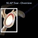 더바른한의원 이미지