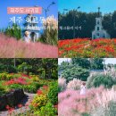 사랑이 있는 어린이 동산 | 10월 제주도 여행 허브동산 제주 핑크뮬리 시기