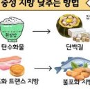 중성지방 원인과 낮추는법, 정상수치 유지를 위한 정보 이미지