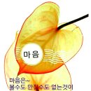 웃는하루