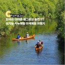 충청북도중원교육문화원 | 아마존 같은 이색체험 가능한 충주 장자늪카누체험장 근처 가볼만한곳