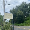 팜카페빨간머리앤 이미지