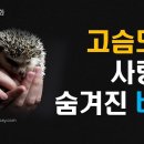 149화. 고슴도치 사랑에 숨겨진 비밀 이미지