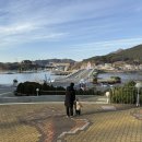 11545-02-08-62 | 진해해양공원 아이랑 가봤더니 생각보다 볼거리 많았던 후기