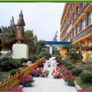 매탄초등학교 이미지