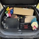 국민1태권도 | 서울 태권도 마술공연+풍선쇼 진행 후기!