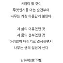 단풍드는 날 - 도종환 이미지