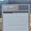 신광사 | 장수[천년고찰] 신라 흥덕완 5년(830)에 무염대사가 창건한 성수산(1059.2m) 신광사