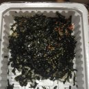 삼대족발천왕점
