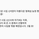 석양이 아름다운 형제섬 농원 이미지