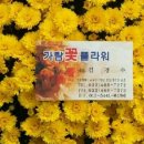 가람꽃플라워