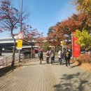 마포걷고싶은길3코스 | 마포 걷고 싶은 길 9코스 하늘 노을길, 월드컵경기장역~하늘공원~노을공원~마포농수산물시장, 2025/11...