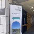 시그니처 엘피스 | 요시다유니 개인전 부암동 석파정 서울미술관 착시 전시 데이트 후기 입장료 및 주차