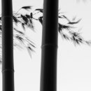 빛중앙14로 이미지