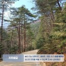 청룡길 이미지