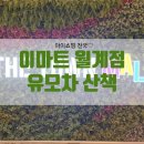 이마트 월계점 2층 유모차 산책 다녀왔어요(+창포원 산책 실패후기)