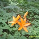 김천(서울)휴게소 이미지