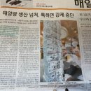 성수태양광발전소 이미지