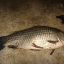 중흥 낚시터 이미지