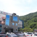 쭈꾸미랑순두부